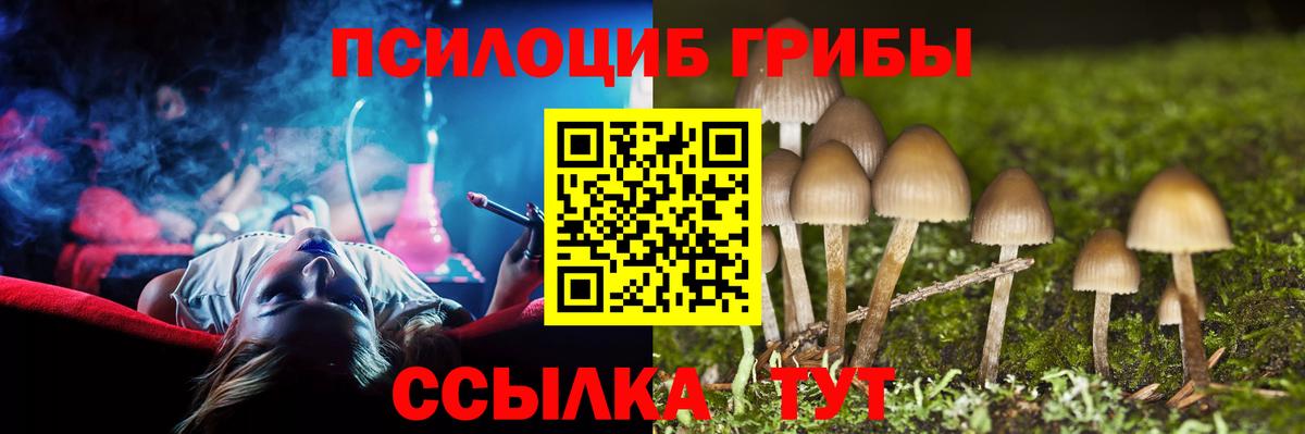 Псилоцибиновые грибы MAGIC MUSHROOMS  Вход с VPN  Семёнов 