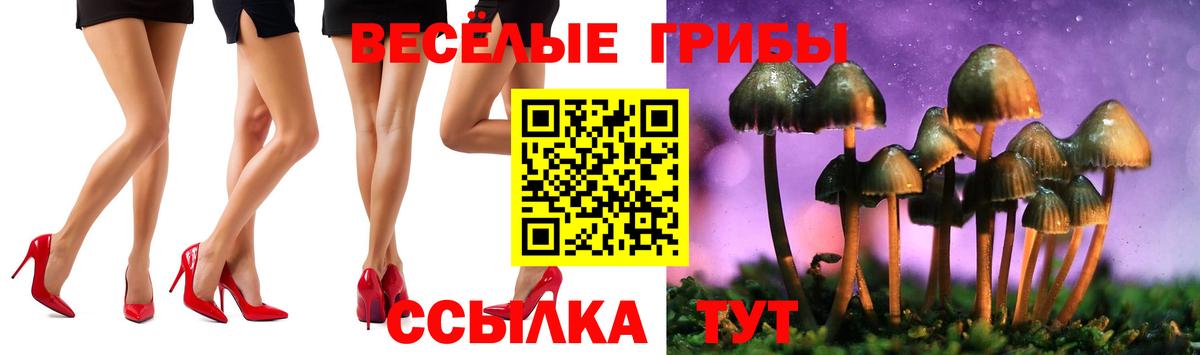 Псилоцибиновые грибы ЛСД Семёнов