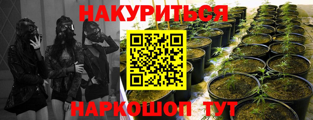 Семёнов  МАРИХУАНА тримм  Конопля конопля  Вход с VPN  Конопля конопля 